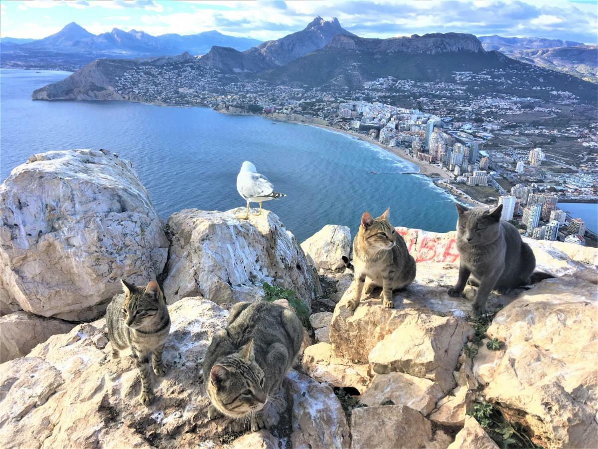 Villa Esmeralda Altea la Vieja ภายนอก รูปภาพ
